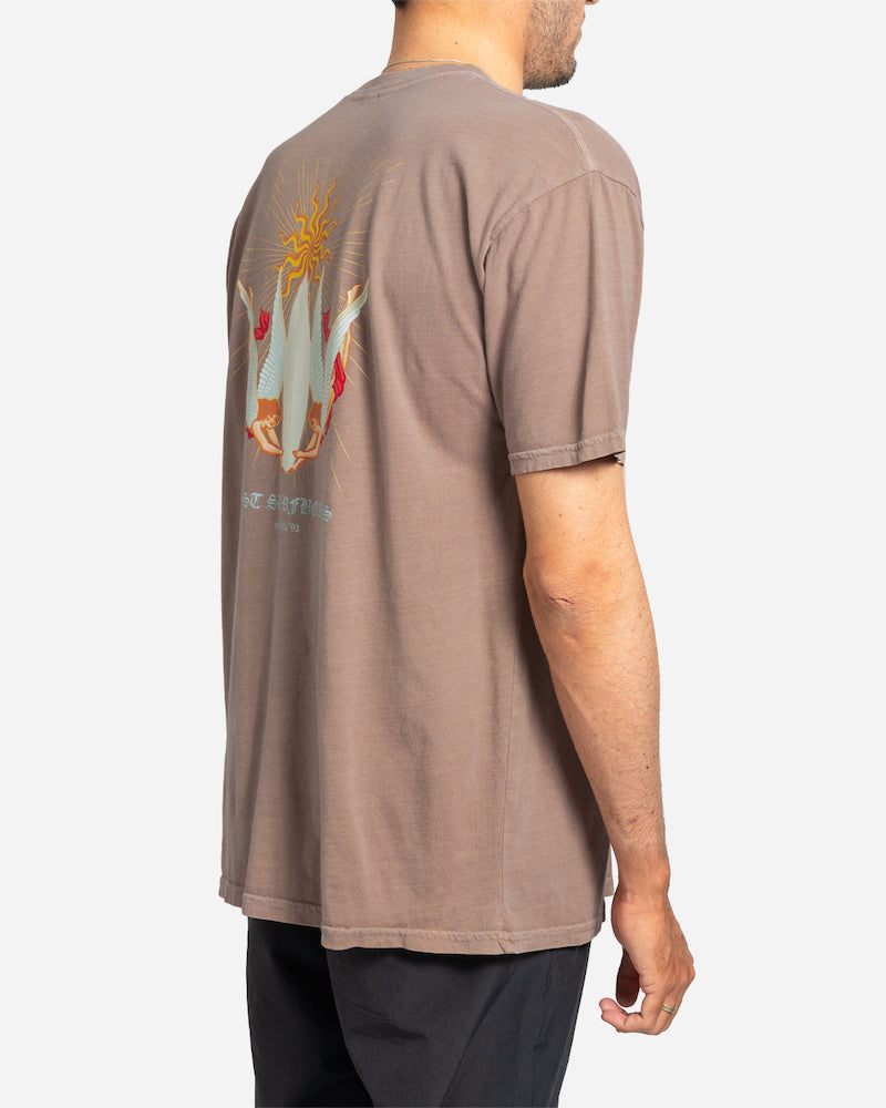 Divine Vintage Dye Tee Portabella