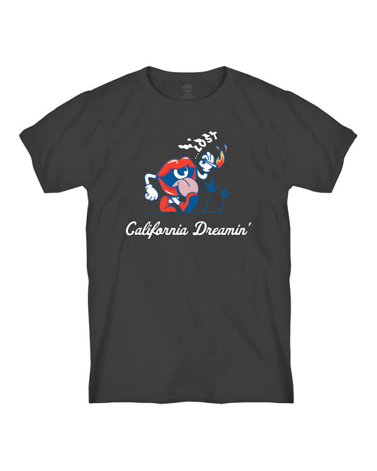 California Dreamin Vintage Dye Vintage Black